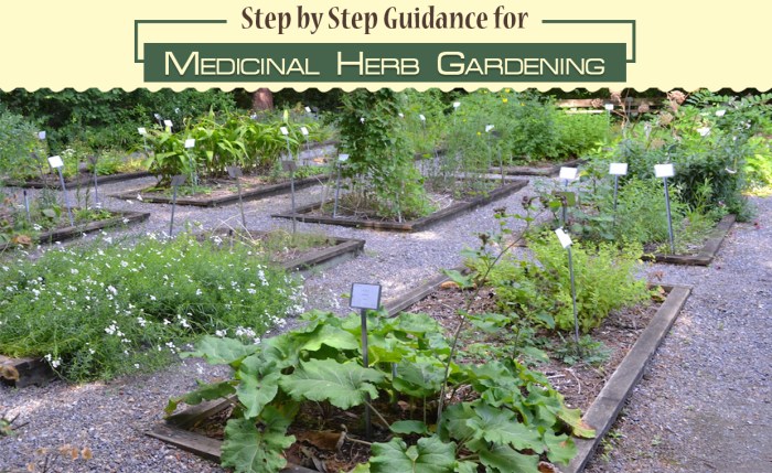Herbal gardens go did where herb Herbal gardens go did where herb
