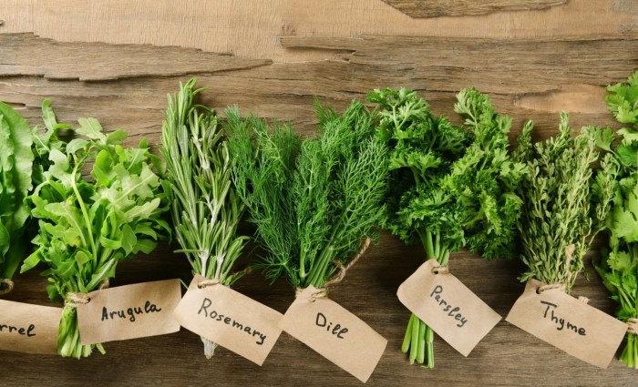 Herbs salt